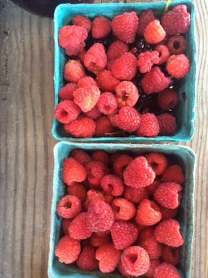 Pick your own berries,  $3/ pint