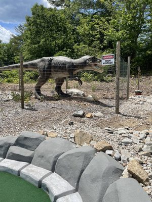 Dinosaurs around the golf course