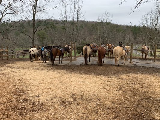 Hitching post.