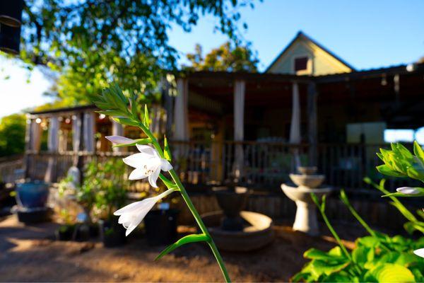 Rigsby's Garden Center