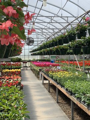 Spring at the greenhouse! Great assortment of plants April through June