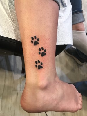 Paw prints by Jake McKeown