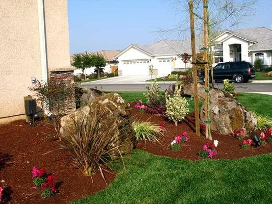 landscape Boulders and humus