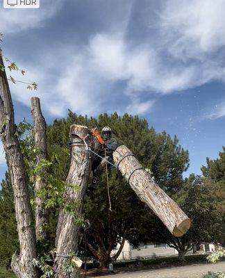 Primetime Pruning