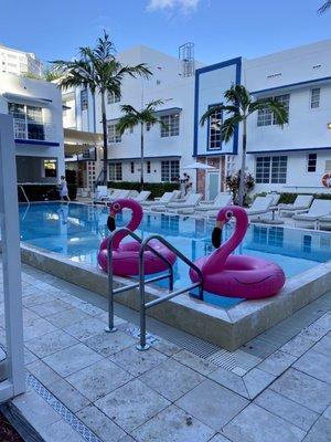 Pestana Miami South Beach