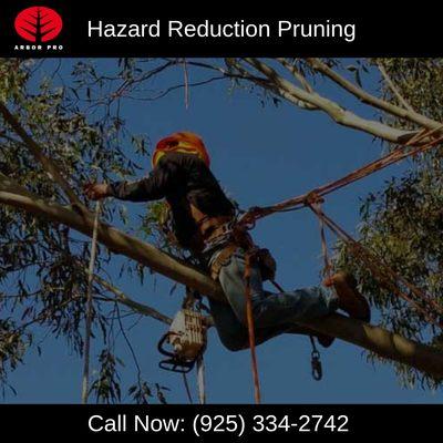 Hazard Reduction Pruning