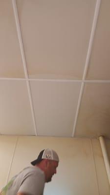 Ceiling tile cleaning