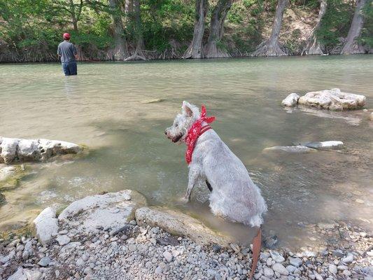 Mr. Ernie lookin for Water Mouses!!