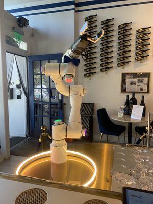 Very cool and advance robot! Definitely a must to go here.