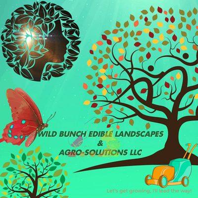 Wild Bunch Edible Landscapes & Agro-Solutions