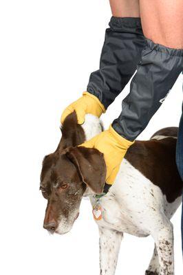 Animal Handling Gloves