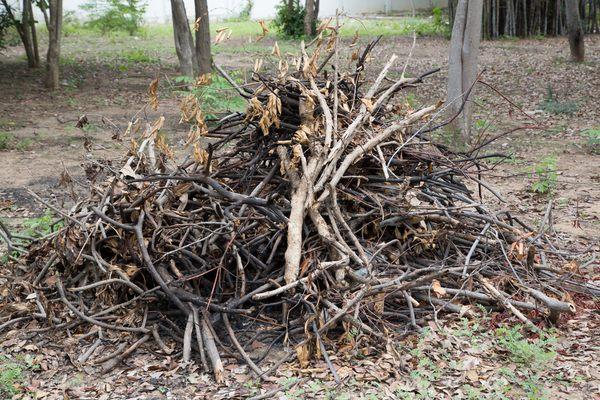 Yard waste dumpster