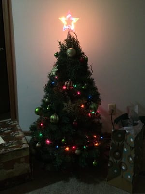 Our tree!