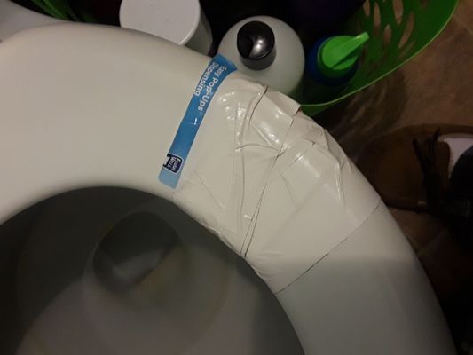 Super maintenance job on the broken toilet seat.