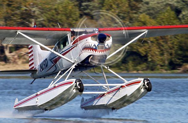 Shark Aviation's Cessna 185 amphibious seaplane taking off.