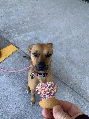 Gourmet cookie for a reward