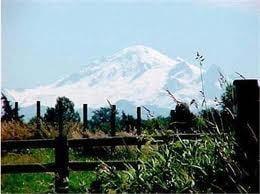 Mount Baker is the third highest mountain in the state of Washington. Its icy volcanic dome rises just 15 miles south of the ...