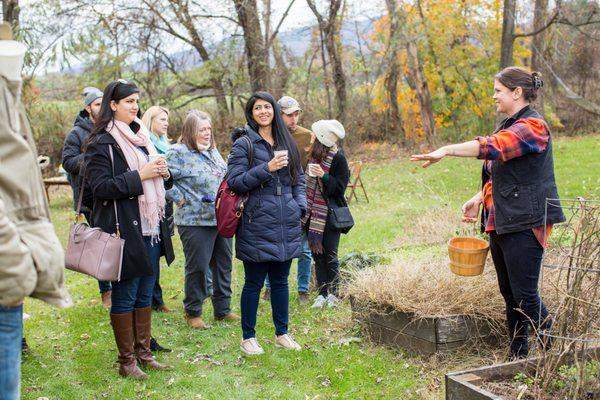 Colleen teaching and foraging and herbal ID class