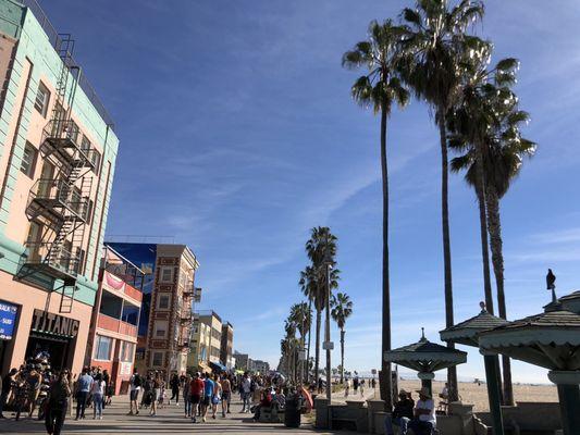 Venice Beach is def a fave spot to visit