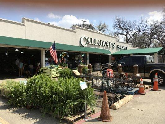 Calloway's Nursery