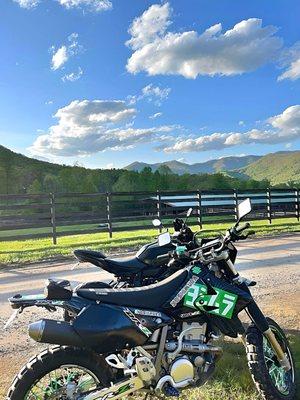 A few of the rental bikes out in the beautiful weather we have had lately!