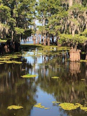 Views of the lake