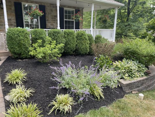 Mulched garden