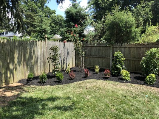 Landscape Design, Shrub Installation, New Landscaping