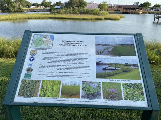 Planting marsh plants in Jarboe Bayou