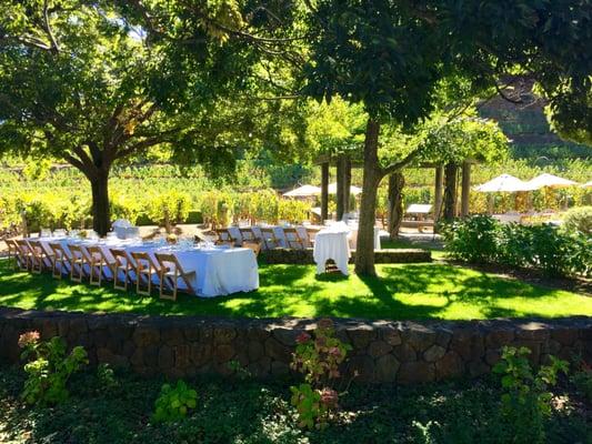 Lunch in the vineyards at Pine Ridge