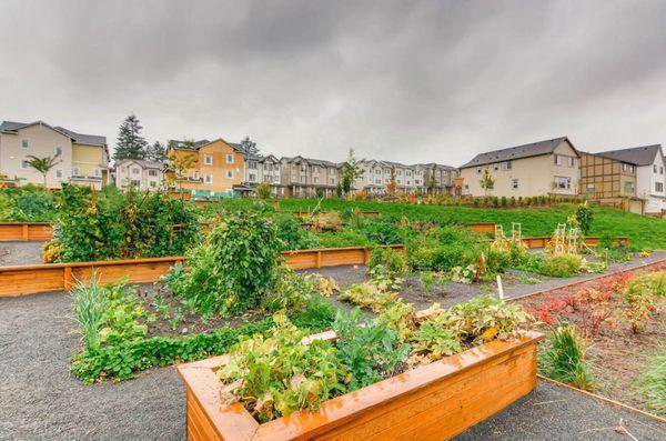 Community Garden in Villebois