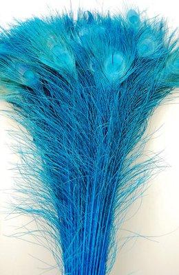 Peacock feathers bleached