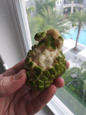 Inside the custard apple. You eat the white part. The lizard scales come right off of a ripe one.