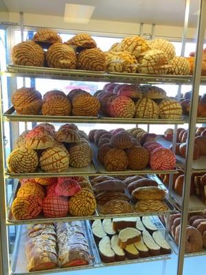 Freshly baked conchas and much more !