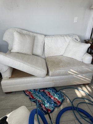 Above and Beyond Carpet and Upholstery Cleaning