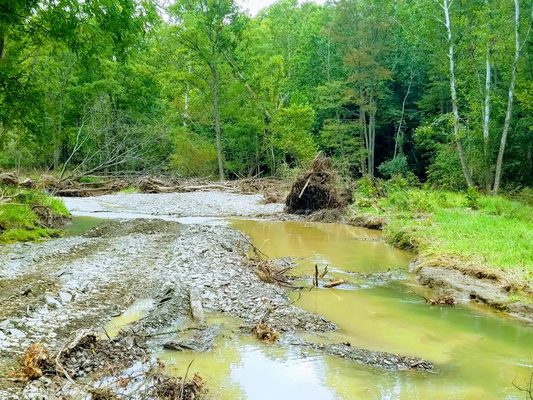 Stream restoration beforehand