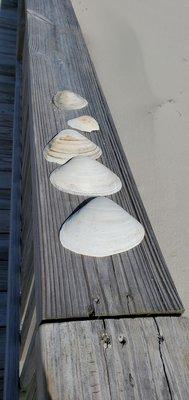 Wildwood Crest Beach