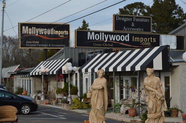 Mollywood Imports