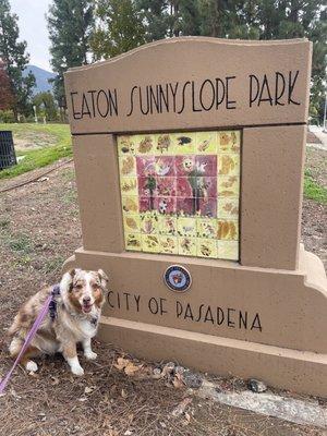 Dogs on leash at Eaton Sunnyslope Park