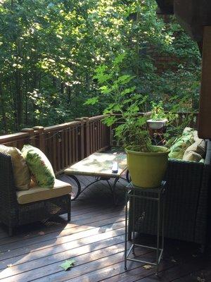 Back patio treehouse view