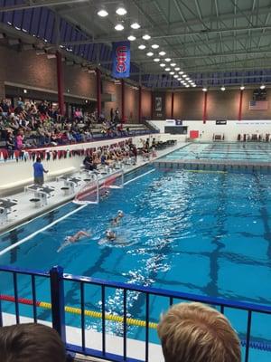 City Water Polo Championship.