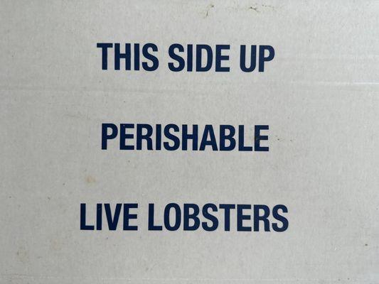 Fresh Lobsters packed cold lasts all day and the box can fit in my fridge.