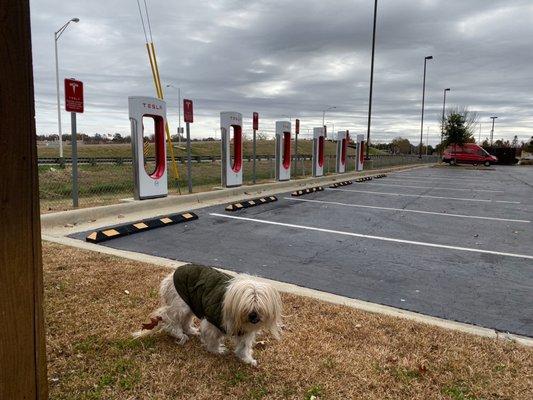 8 Supercharging stations (6 pictured) behind TownePlace Suites Marriott in Monroe Louisiana