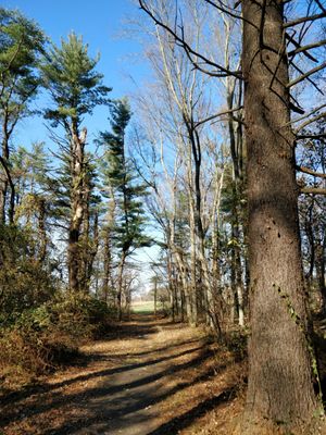 Hiking on the blue trail