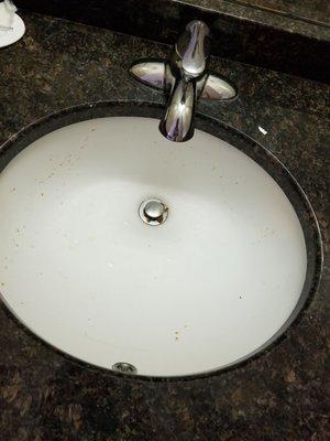 A bigger look at a filthy sink.