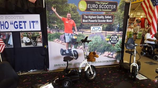 Euro Scooter Display