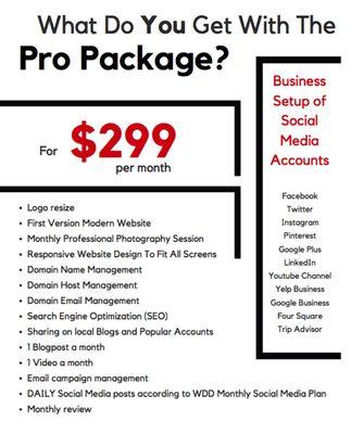 The Pro Package includes everything a business needs for $299/month only.