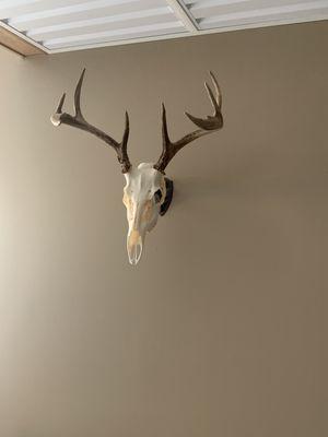 Euro mount