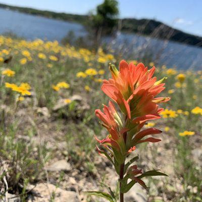 Sandy Creek Park