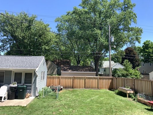 Medium oak tree completely removed, area cleaned up